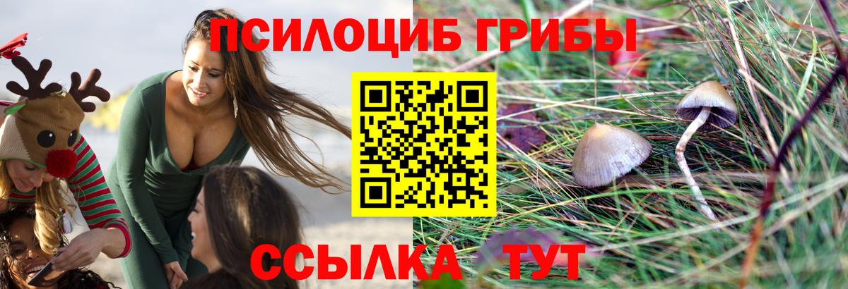 Галлюциногенные грибы мухоморы Рославль