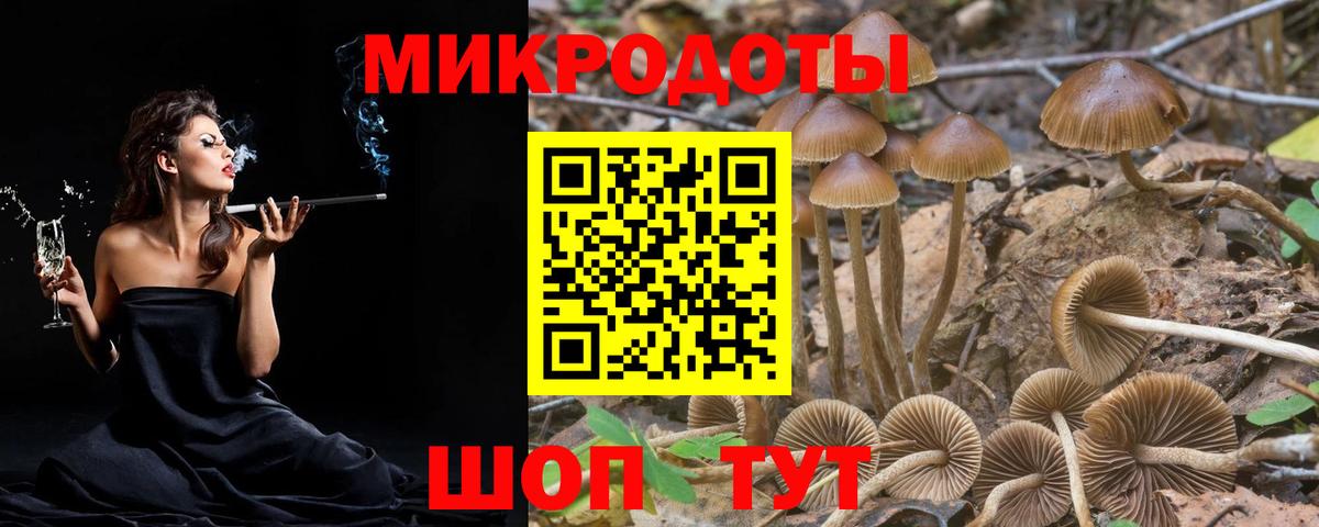 Рославль  Псилоцибиновые грибы Psilocybe  Псилоцибиновые грибы прущие грибы  Вход с VPN 