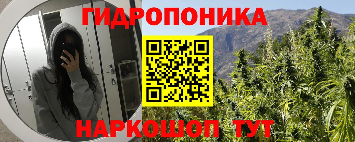 Рославль  Конопля гибрид  Бошки Шишки THC 21%  Вход с VPN 